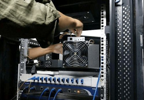 ASIC mining rigs lined up in a professional mining facility